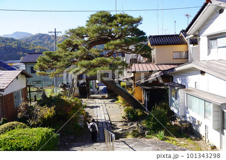 長野県伊那市・高遠城下石仏ウオーク2022　(高遠の風景)(数ケ寺)(石仏作家守屋) 101343298