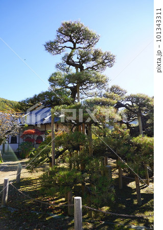 長野県伊那市・高遠城下石仏ウオーク2022　(高遠の風景)(数ケ寺)(石仏作家守屋) 101343311