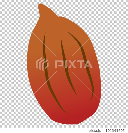 Illustration of a simple cocoa bean Illustration of a simple cocoa bean 101343605