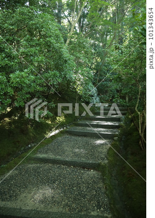 瑠璃光院 瑠璃光院 101343654