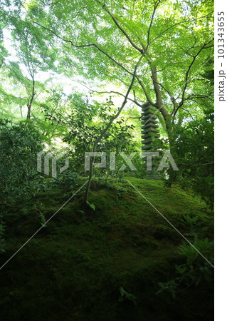 瑠璃光院 瑠璃光院 101343655