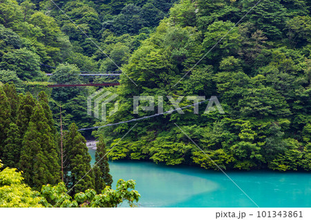 日本の車窓から　緑深い黒部峡谷鉄道　猿用の吊り橋 101343861