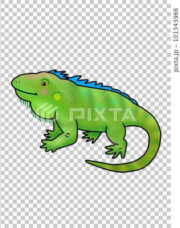 可愛的鬣蜥的插圖 101343966