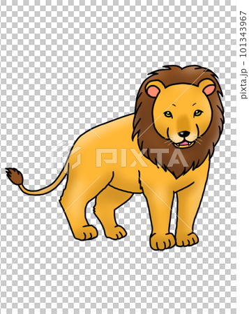 オスのライオンのイラスト オスのライオンのイラスト 101343967
