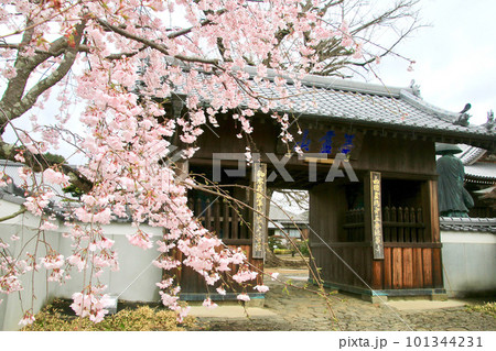 地蔵寺・第5番札所（徳島県・四国遍路） 101344231