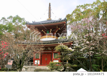 安楽寺・第6番札所（徳島県・四国遍路） 101344475