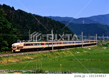 2001年 北陸本線を走る485系L特急しらさぎ7両 2001年 北陸本線を走る485系L特急しらさぎ7両 101344637