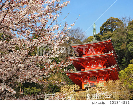 岐阜公園三重塔 101344851
