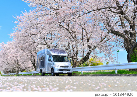 キャンピングカーでお花見 満開の桜並木 キャンピングカーでお花見 満開の桜並木 101344920