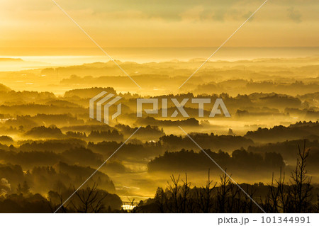 三ツ石森林公園から夜明けの霞ケ浦光芒 三ツ石森林公園から夜明けの霞ケ浦光芒 101344991