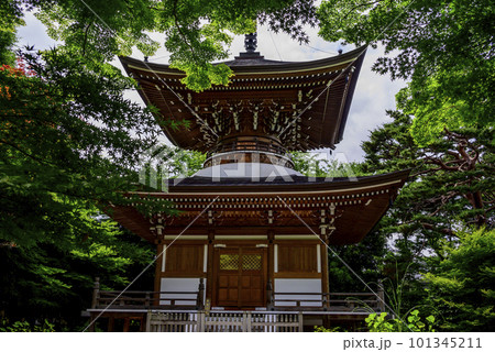 緑に囲まれた多宝塔 101345211