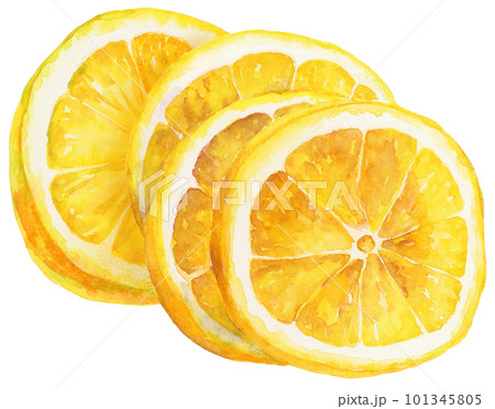水彩で描いたスライスレモンのイラスト 101345805