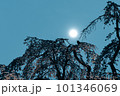 満月としだれ桜 101346069