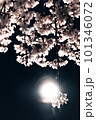 満月に照らされる桜 101346072