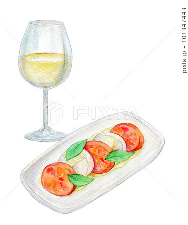 ワインとカプレーゼのセット　水彩イラスト 101347443