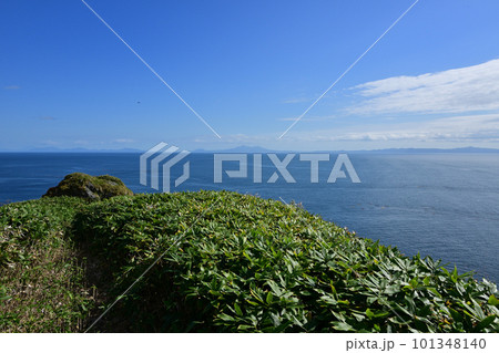 クジラの見える丘公園展望デッキからの風景 クジラの見える丘公園展望デッキからの風景 101348140