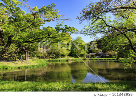新緑が映える称名寺の風景 101348959