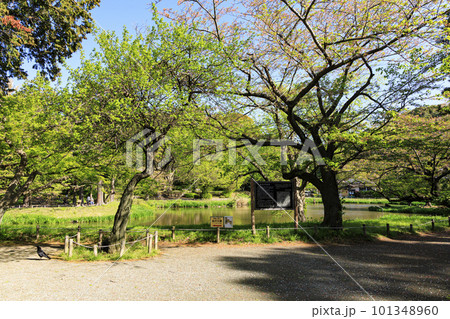新緑が映える称名寺の風景 101348960