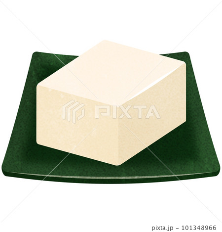 皿にのった絹豆腐 皿にのった絹豆腐 101348966