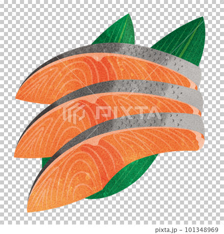 fresh salmon fillet fresh salmon fillet 101348969