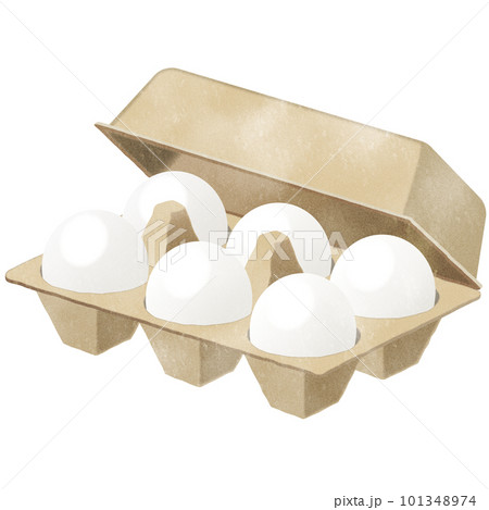 ケースに入った玉子 101348974