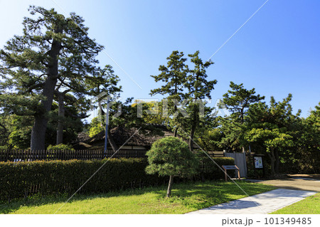 海の見える公園（神奈川県横浜市野島公園） 101349485