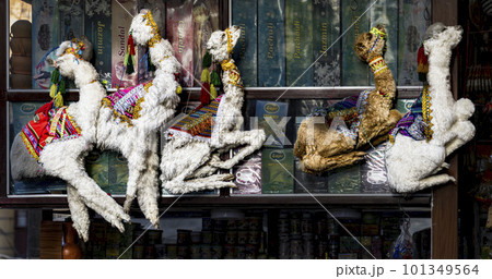 LLama or Alpaca fetuses stillborn, sold to pharmacists aka witches for Bolivian traditional rituals 101349564