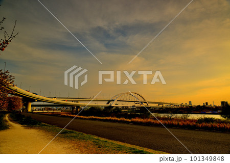 荒川のさくら、五色桜大橋と江北ジャンクションの夕景 101349848