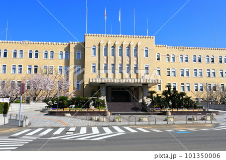 【和歌山県】満開の桜と和歌山県庁 101350006