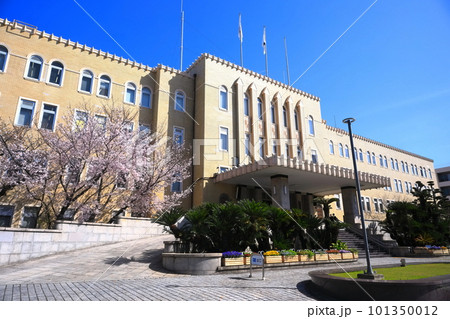 【和歌山県】満開の桜と和歌山県庁 【和歌山県】満開の桜と和歌山県庁 101350012