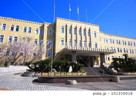 【和歌山県】満開の桜と和歌山県庁 【和歌山県】満開の桜と和歌山県庁 101350018