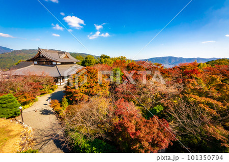 秋の京都・将軍塚青龍殿で見た、カラフルな紅葉と快晴の青空 101350794