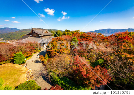 秋の京都・将軍塚青龍殿で見た、カラフルな紅葉と快晴の青空 101350795