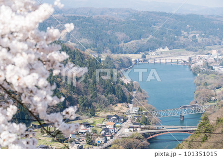【高山本線】桜咲く鉄橋を渡る特急列車 101351015