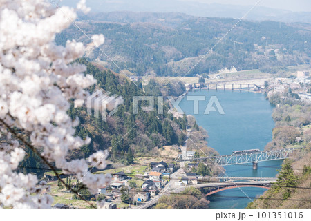 【高山本線】桜咲く鉄橋を渡る特急列車 【高山本線】桜咲く鉄橋を渡る特急列車 101351016