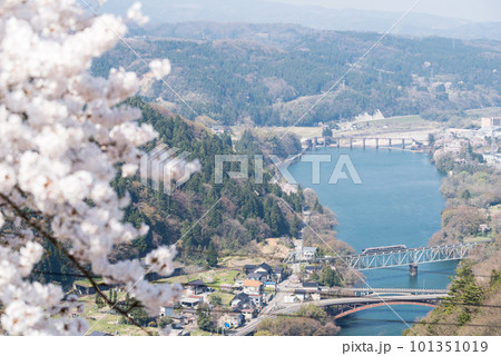 【高山本線】桜咲く鉄橋を渡る特急列車 101351019
