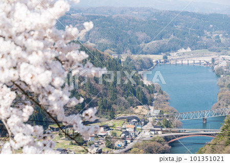 【高山本線】桜咲く鉄橋を渡る特急列車 101351021