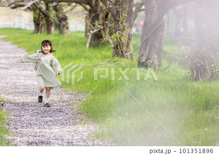 桜の下でランドセルを背負う女の子 101351896