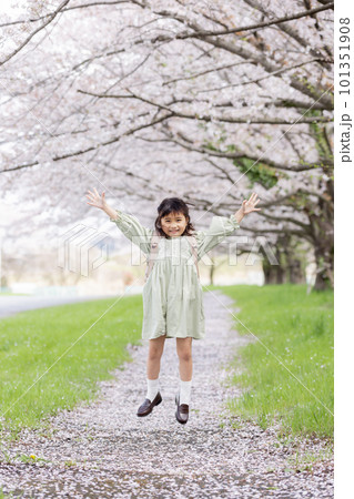 桜の下でランドセルを背負う女の子 101351908
