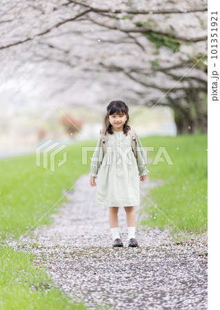 桜の下でランドセルを背負う女の子 101351921
