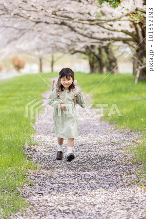 桜の下でランドセルを背負う女の子 101352193