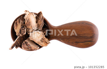 Calamus root in wooden spoon, isolated on white background. Sweet flag, sway or muskrat root. Dry root of Acorus calamus. Top view. Calamus root in wooden spoon, isolated on white background. Sweet flag, sway or muskrat root. Dry root of Acorus calamus. Top view. 101352285