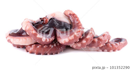 Squid tentacles isolated on white background. Fresh raw gigant squid. Squid tentacles isolated on white background. Fresh raw gigant squid. 101352290
