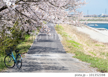【神通の千本桜】川沿いの桜並木と自転車 【神通の千本桜】川沿いの桜並木と自転車 101352398
