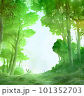 水彩の緑の森の中の風景 101352703