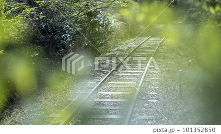 新緑の廃線跡(旧国鉄倉吉線) 新緑の廃線跡(旧国鉄倉吉線) 101352850