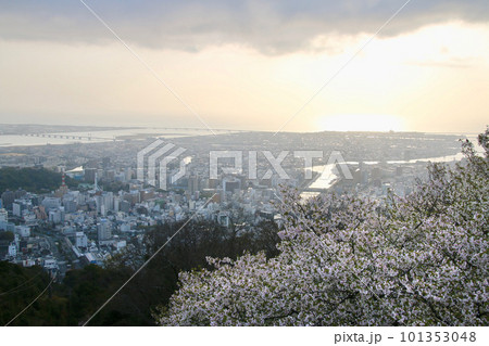 眉山公園からの眺望(徳島県・徳島市) 眉山公園からの眺望(徳島県・徳島市) 101353048