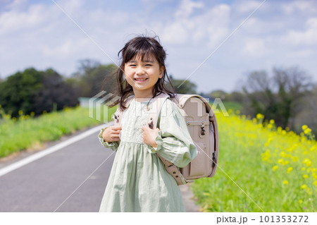 菜の花畑の中をランドセルを背負って歩く女の子 101353272