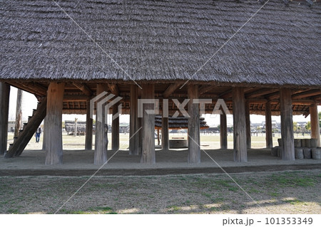 大阪 和泉 泉大津 池上・曽根遺跡公園 大型掘立柱建物(春) 大阪 和泉 泉大津 池上・曽根遺跡公園 大型掘立柱建物(春) 101353349