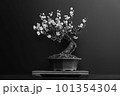 盆栽（モノクロ） 101354304